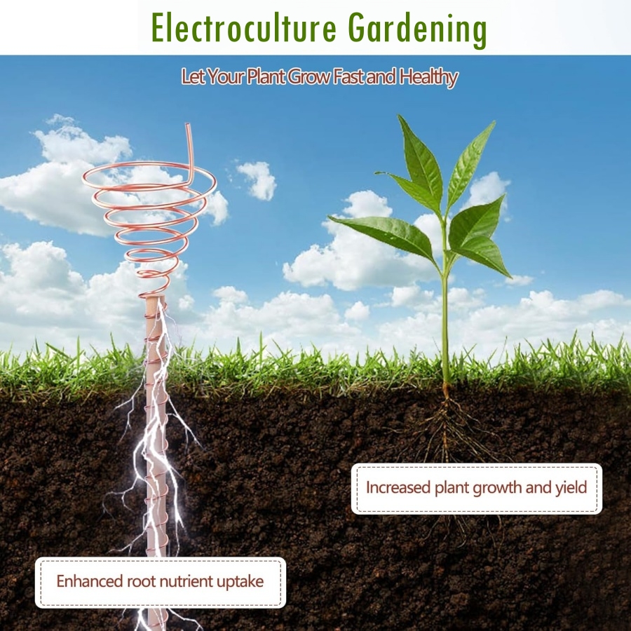 20m/65ft Electroculture Garden - Dowel Jig Kit incelemesi ve fiyatı